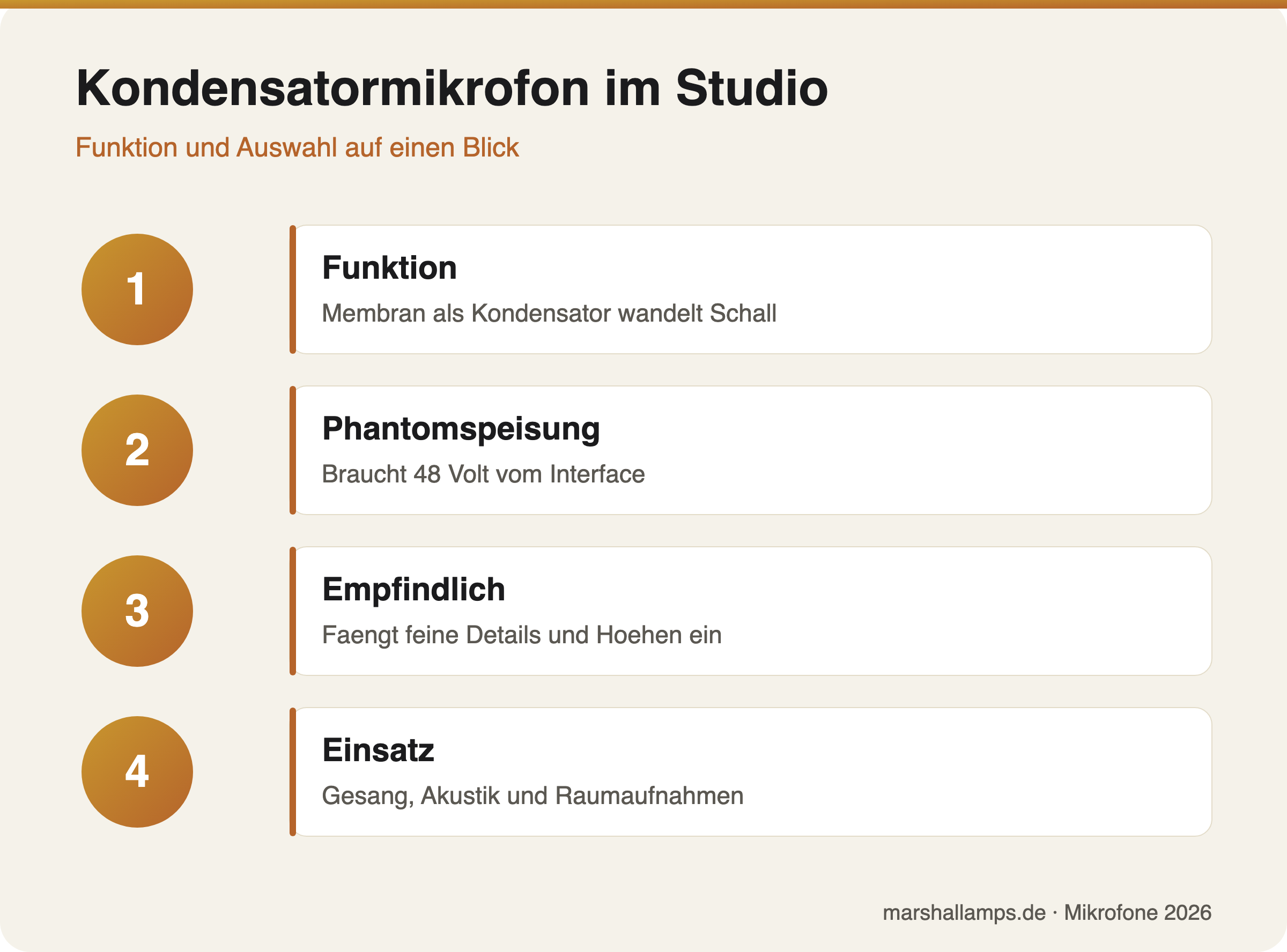Infografik: vier Punkte zum Kondensatormikrofon