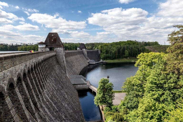 sonnenpark willingen - Dramatic view of the Möhne Reservoir dam surrounded by lush forests and clear